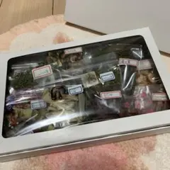 Item thumbnail for item 7c96e906-59c4-44cc-bc5f-9ae1e735c881