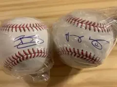 MLB autograph エルズベリー ガードナー サインボール