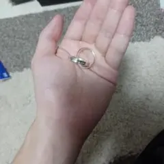 Item thumbnail for item 7994ecf8-0414-4f78-b27e-1959dc307616