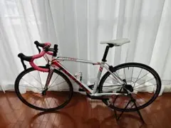 ANCHOR RS8 2014年 プレシャスチタンカラーからちゃん ANCHOR プレシャスチタン RS8 EPSE フレームセット 2014｜高額