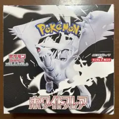 【BOXそのままお送りします！】ホワイトフレア　1ボックス　シュリンクなし