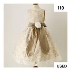 Item thumbnail for item f3661195-b2f8-4edf-a088-527665d37dc1