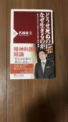 どうせ死ぬのになぜ生きるのか : 晴れやかな日々を送るための仏教心理学講義