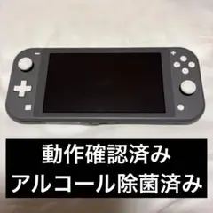 NintendoSwitchLite 動作確認済み　ニンテンドースイッチライト