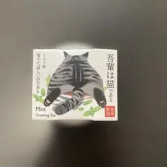 ミント栽培キットと猫マグカップセット