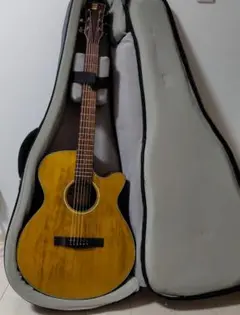 2025年最新】NAGI guitarの人気アイテム - メルカリ