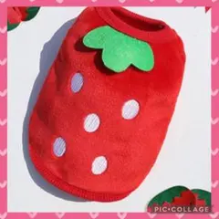 Item thumbnail for item 421b6c17-6173-46dc-8ab4-e4986eccb756