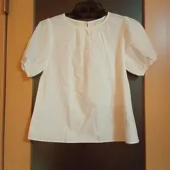 マジェスティックレゴン★コットン★半袖★ブラウス★ふんわり袖★Мサイズ★クリーム