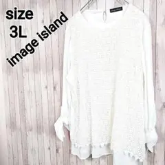 image island*大きいサイズ レース シアー ブラウス シャツ/3L