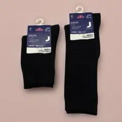 Item thumbnail for item a943da5f-e36c-46f1-bfb0-8f7d98e92af2