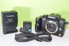 Panasonic DMC-G1 ☆送料無料☆