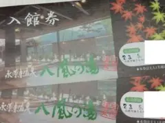永源寺温泉八風の湯 入館券チケット 大人2枚 送料込