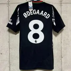 Item thumbnail for item 4c4d9023-8014-45e4-80f9-744a1c139329