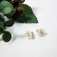 《値下げ》小さな白いお花のピアス　＃529