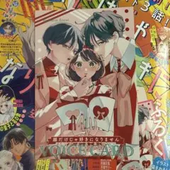 花とゆめ 付録 顔だけじゃ好きになりません ボイスカード