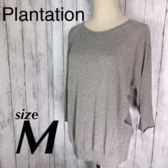 Plantation プランテーション ニット ロング Tシャツ 透け感あり