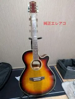 promartin ea500w vs エレアコ　ギター 2025年最新】PRO MARTIN EA500Wの人気アイテム - メルカリ