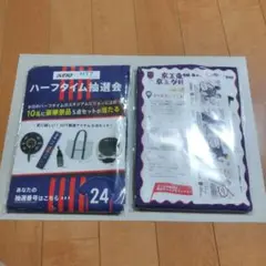 FC東京 オリジナル レジャーシート　2個セット