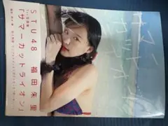 Item thumbnail for item c7d90770-4e45-414a-b448-43fc2b2990ce