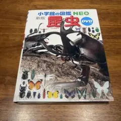 小学館の図鑑 NEO 昆虫 DVD無し
