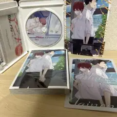 マスク男子は恋したくないのに4巻Blu-ray付き特装版