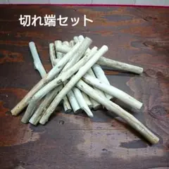 Item thumbnail for item 87c42034-f7fc-47bf-80f7-43d04f91ac50