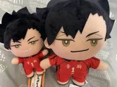 ハイキュー!! ぬいぐるみ　2種