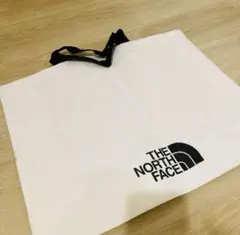 THE NORTH FACE エコバッグ 限定品レジャーバッグ 防水素材