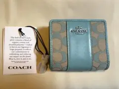 Item thumbnail for item 5137175f-6d38-4cf9-ab1e-44ead817d91f