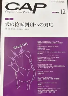 Item thumbnail for item a839e2c9-495c-4290-87e5-1a022dcf91c5