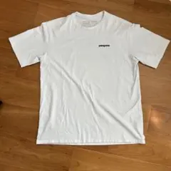パタゴニア　白　Tシャツ　レギュラー　M
