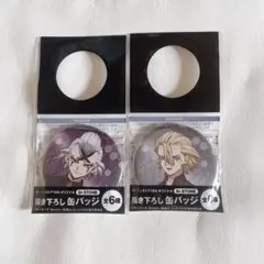 Dr.STONE ドクスト 缶バッジ ローソン100 コラボ スタンリー ゼノ