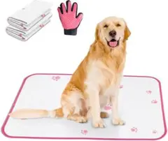 Item thumbnail for item 66b635d5-a6fe-42e0-8da0-8e2cb68038c7