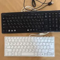 ELECOM TK-FCP097 /サンワサプライSKB-SL18WNキーボード