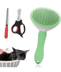Item thumbnail for item 78db3824-23dd-457e-94f2-83f9cf549638