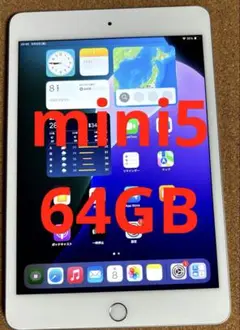 ❗️限定品❗️iPad mini5 第5世代 64GB
