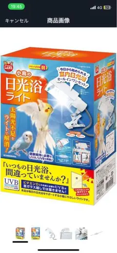 Item thumbnail for item 303b3245-425e-41b9-be7d-d963d2d43dc3