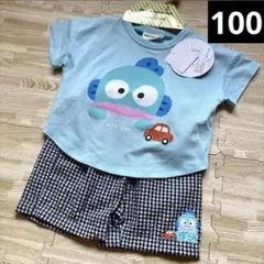 サンリオ　mimorand コラボ　ハンギョドン　半袖　Tシャツ　セットアップ