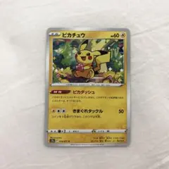 ポケモンカード ポケモンカードゲーム ピカチュウ ライチュウ ポリゴンZ
