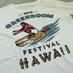 GREENROOM FESTIVAL 2015 Tシャツ　tcss