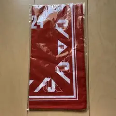FUJI ROCK FESTIVAL ’24 手ぬぐい