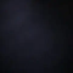 専用