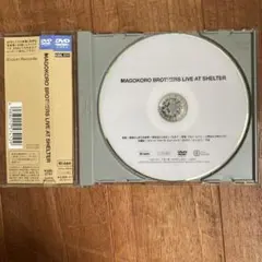 LIVE AT SHELTER【DVD】真心ブラザーズ