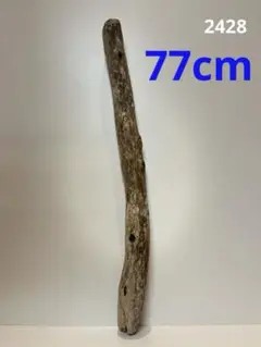 Item thumbnail for item e002f155-808e-4307-b0b6-5dfbcbfb3f12