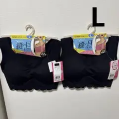 新品⭐︎グンゼTucheトゥシェハーフトップ2枚セット　L 日本製　値引き不可