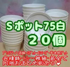 【スリット鉢】Sポット丸型75白20個2.5号7.5cmプレステラ多肉プラ鉢