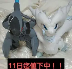 劇場版 ポケットモンスター ベストウイッシュ スーパーDX ぬいぐるみ ゼクロム