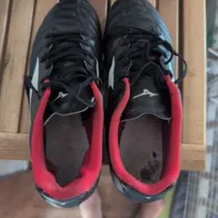 24.5Mizunoポイントあります Monarcidaネオ！