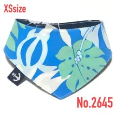 Item thumbnail for item 78df6477-4233-4a85-916c-e03d15001ee3