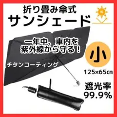 Item thumbnail for item 82cf30ae-b3d6-4547-aad2-e6688b8afafb